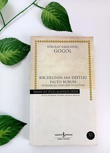 Bir Delinin Anı Defteri 