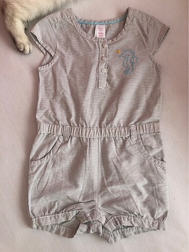Baby club tulum 18-24 aylık