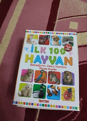 İlk 100 hayvan 