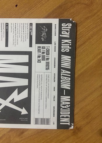 Maxident Albüm - Görsel 6