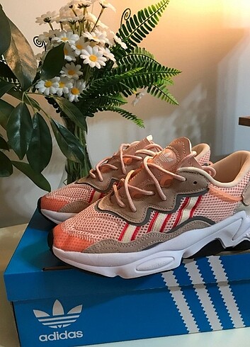 Adidas bayan keten