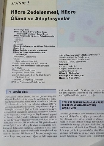 Beden Renk Robbins Temel Patoloji 8. Basım Kitap