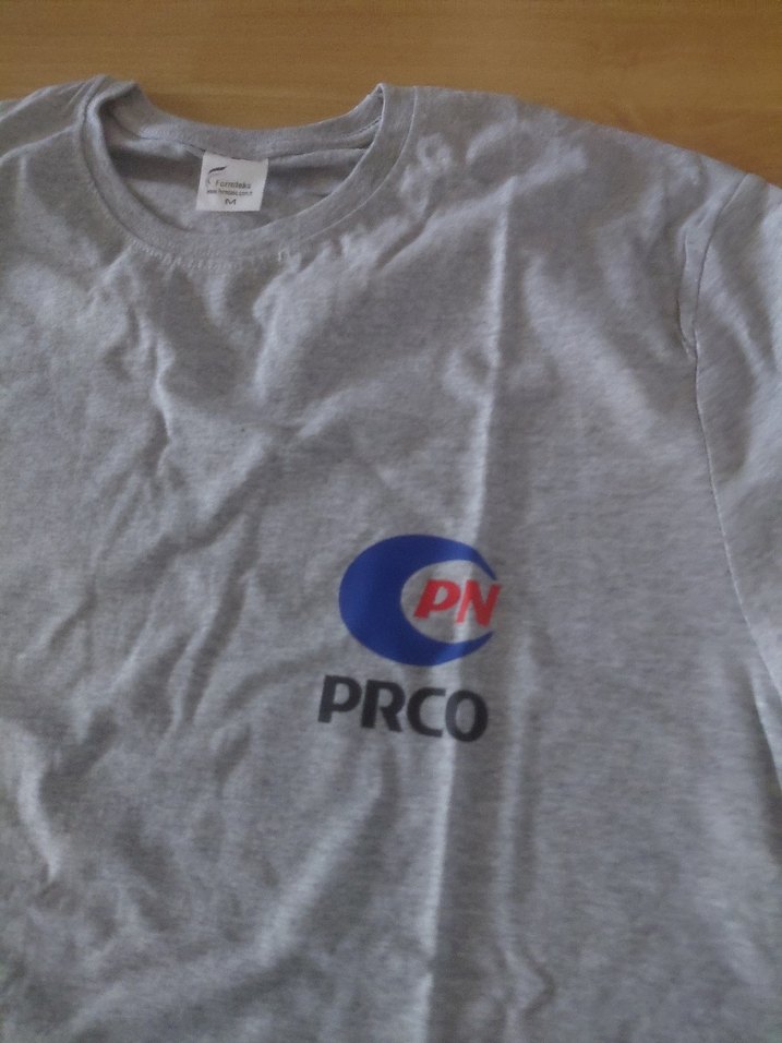 Gri Baskılı Pamuklu Erkek Tişört - Görsel 2