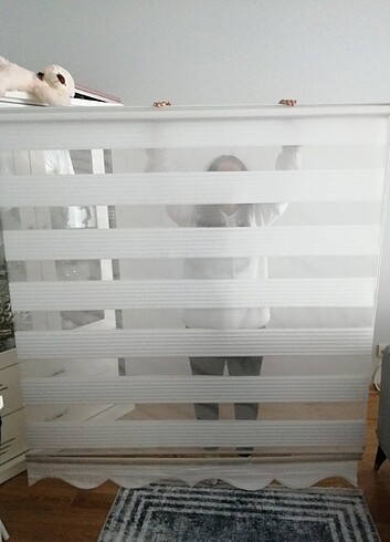 Zebra stor perde 