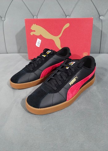 Puma 43