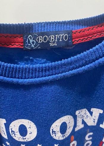 Mavi Erkek Çocuk Uzun Kollu Sweatshirt - Görsel 3