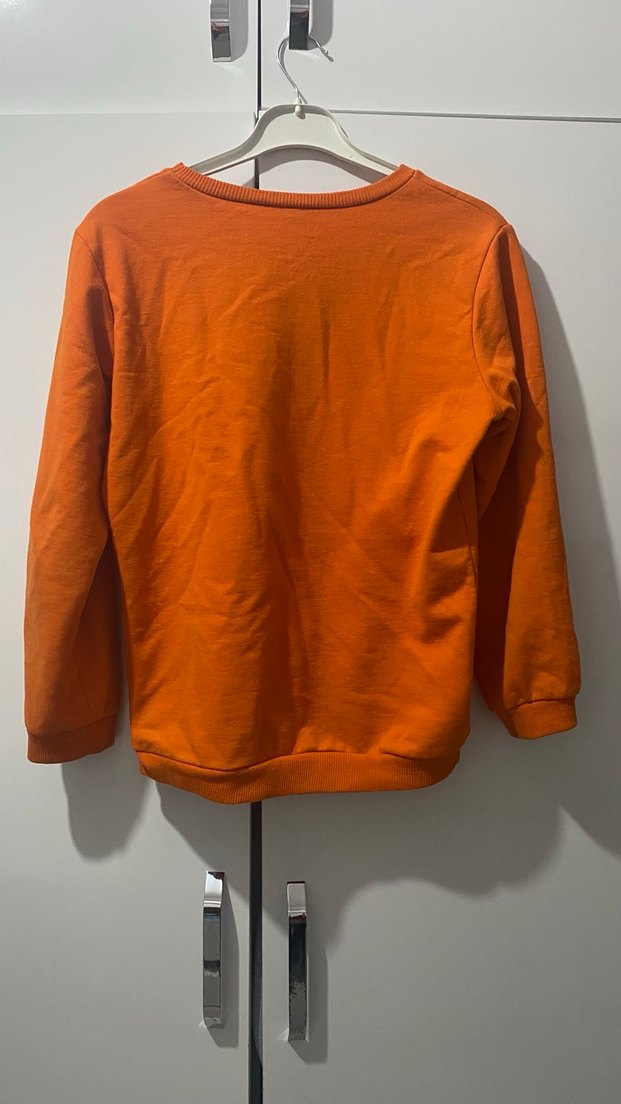 Turuncu Baskılı Erkek Çocuk Sweatshirt - Görsel 2