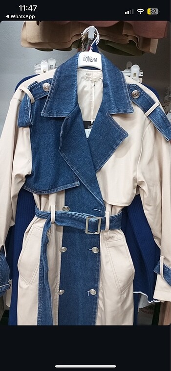 Kot model trençkot