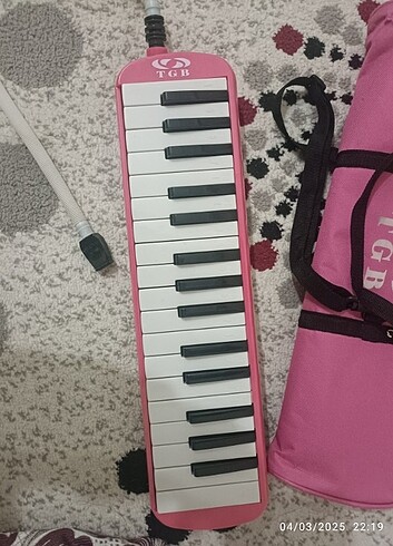 Diğer Müzik aleti 