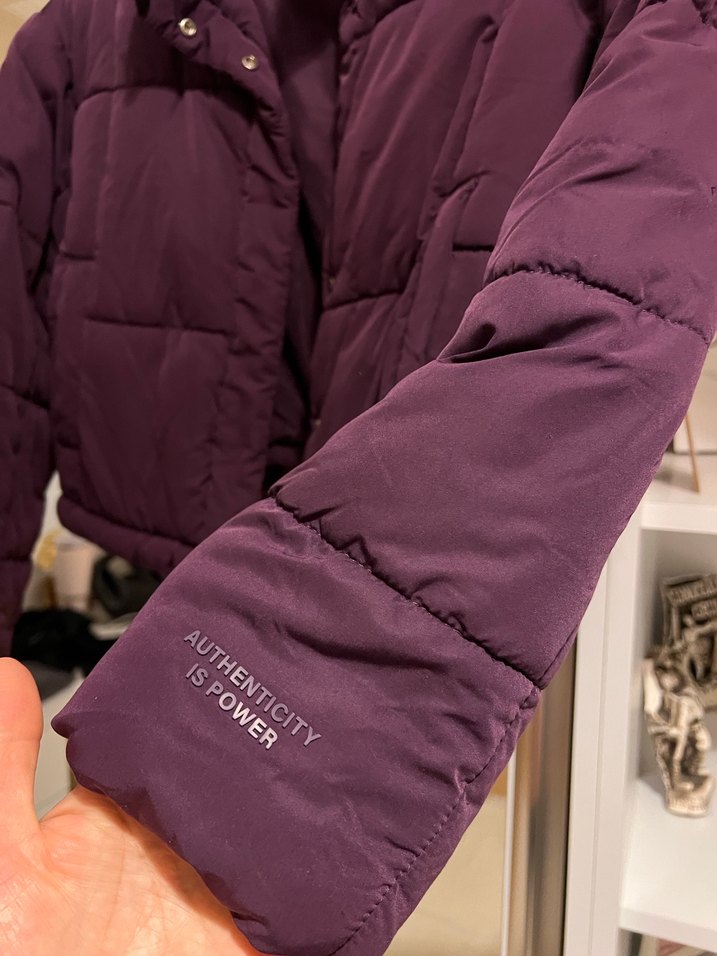 Mor Düğmeli Kadın Kışlık Mont - Görsel 4