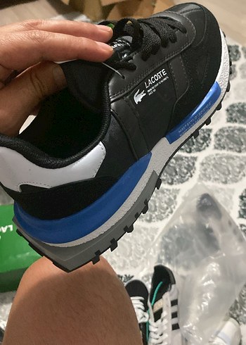 Lacoste Renkli Lacoste Erkek Spor Ayakkabı