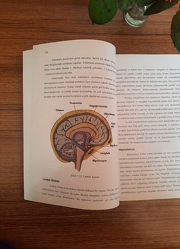 İnsan ve Hayvan Fizyolojisi - Görsel 4