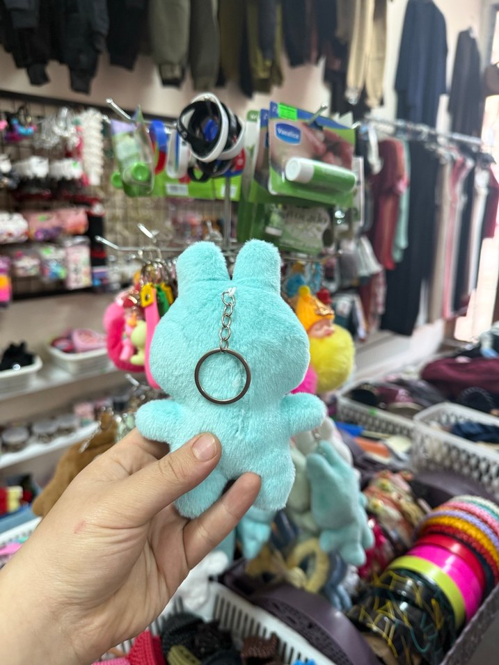 Labubu peluş anahtarlık - Görsel 5