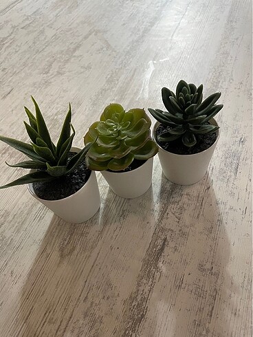 Ikea yapay bitkiler