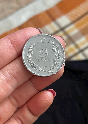 Koleksiyonluk - Görsel 2