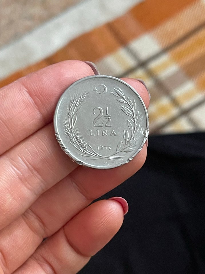 Koleksiyonluk - Görsel 2