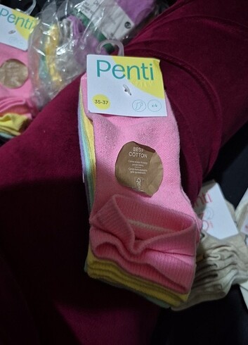 37 Beden çeşitli Renk Penti 4 lü corap