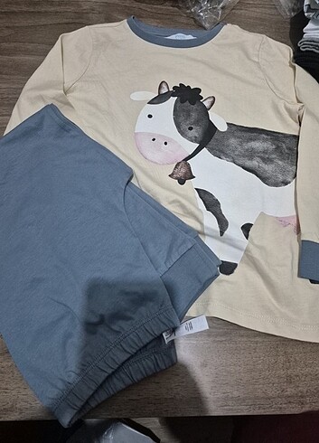 5 6 yaş  3 yas 12 13 yas 10 yaş mevcut  - Görsel 4