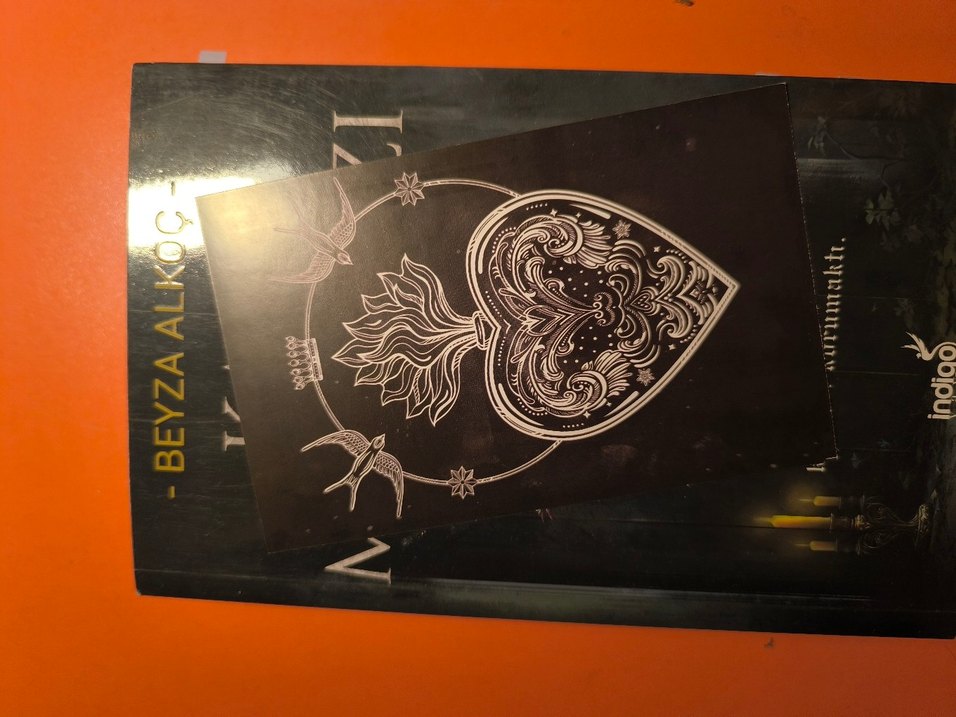 Kalp Muhafızı - Beyza Alkoç ciltsiz indigo yayınları - Görsel 4