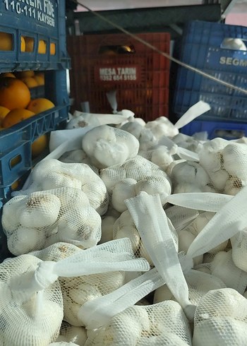 file sarımsak - Görsel 4