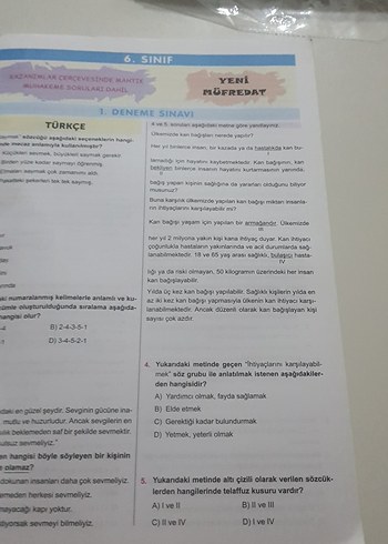 Turkuaz Vintage Erkek Rozet - Görsel 2