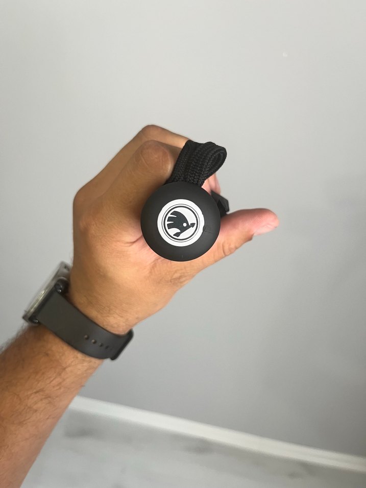 Skoda kapi semsiyesi - Görsel 4