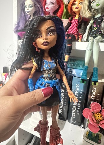 Monster high ROBECCA STEAM
