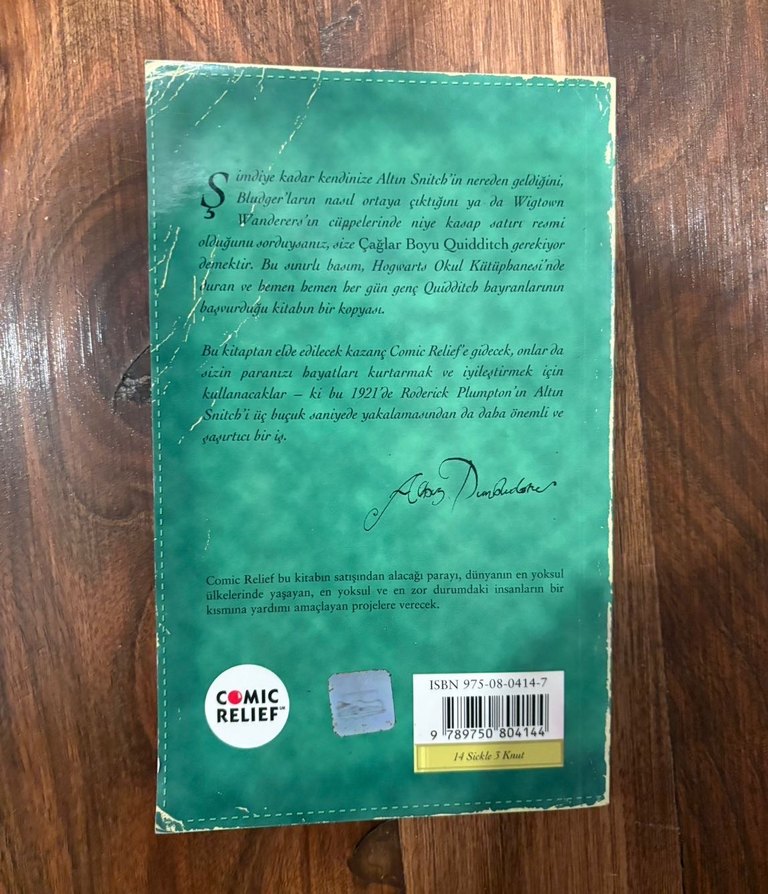 Harry Potter Çağlar Boyu Quidditch - Görsel 2