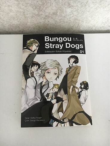  bungou stray dogs1