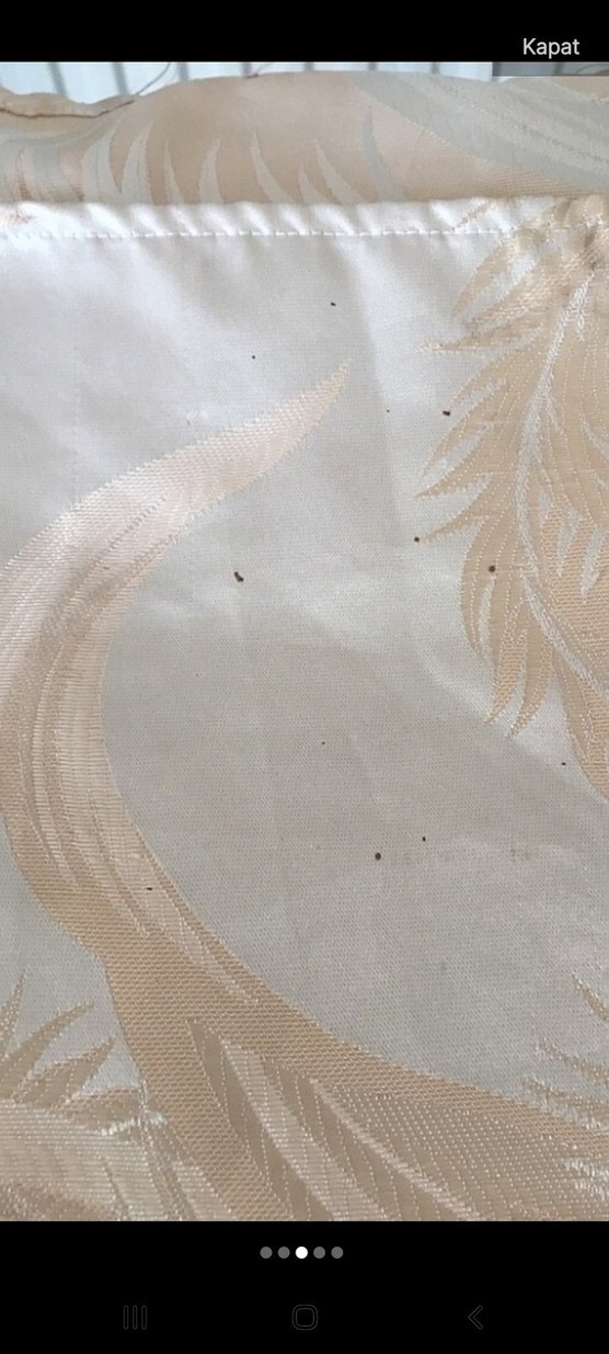 Bej Parlak Desensiz Nevresim Takımı - Görsel 3