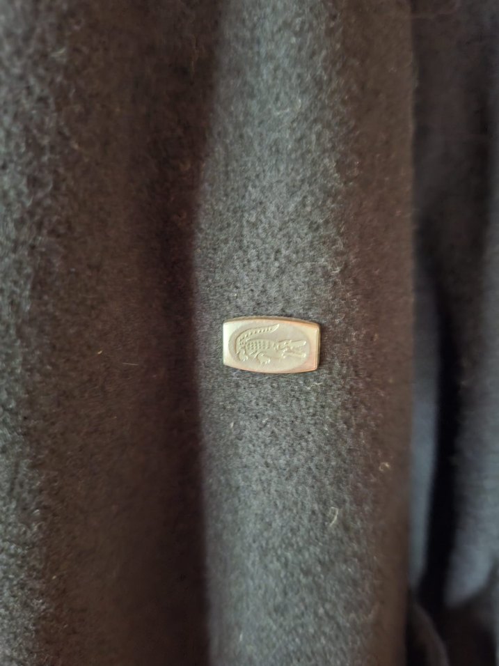 Lacoste Erkek palto - Görsel 2