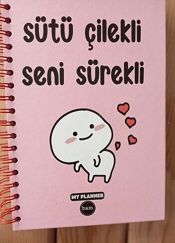 Konuşan Ajanda 