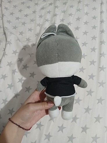 Diğer Wolfchan Peluş + Bangchan fotokart