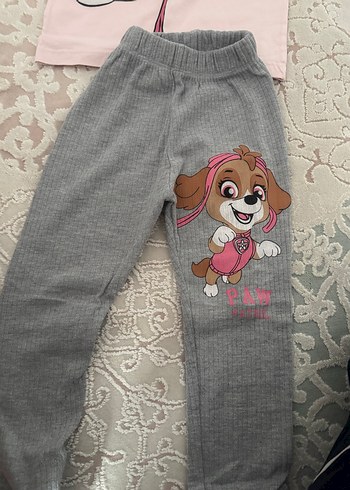 5 Yaş Beden pembe Renk Paw Patrol Baskılı Kız Bebek Takımı