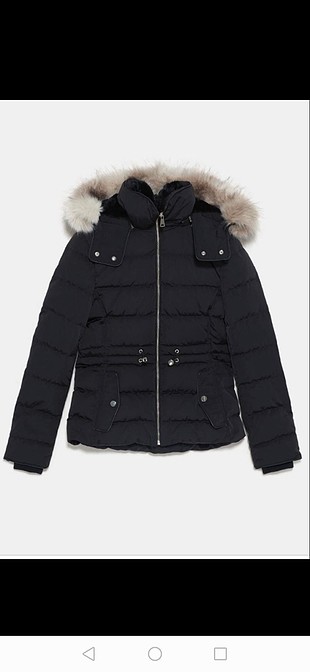 Zara mont 