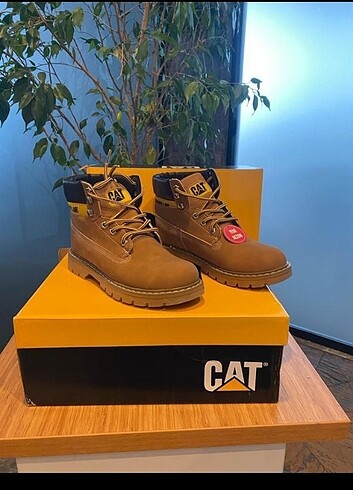Cat Bot