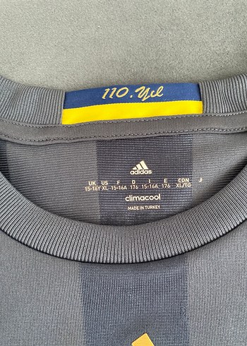 Fenerbahçe 110. Yıl Özel Forma  Gregory van der Wiel #23 İmzalı - Görsel 3