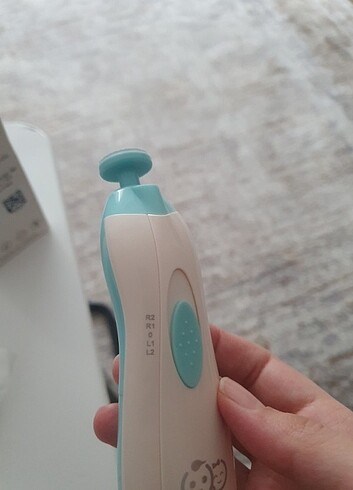 Pilli tırnak törpüsü - Görsel 3