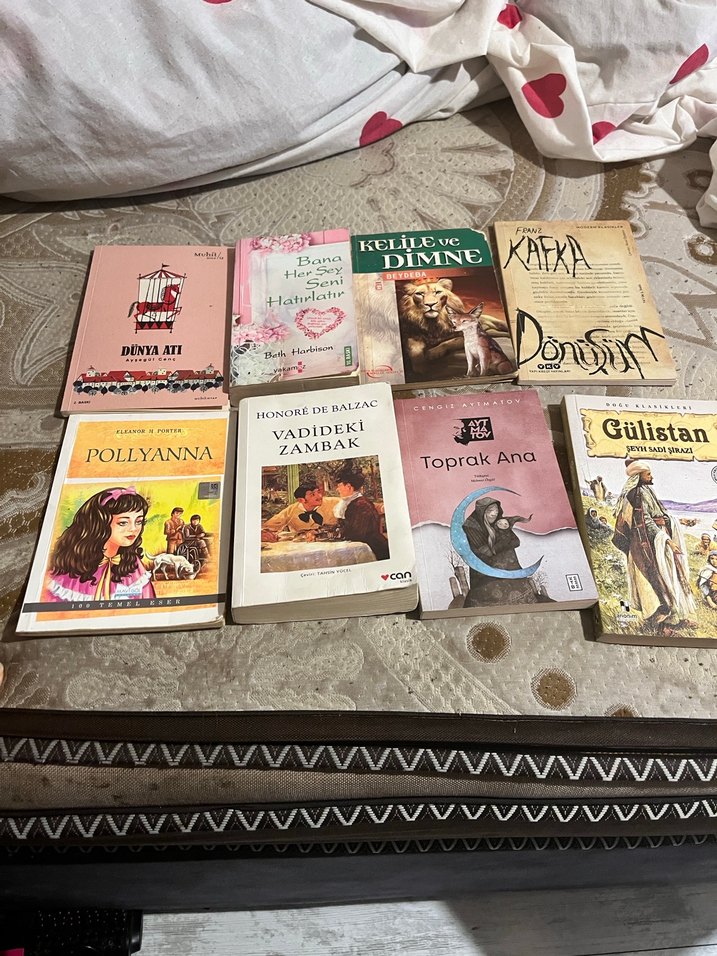 Çeşitli Yazarların Kitap Koleksiyonu - Görsel 3