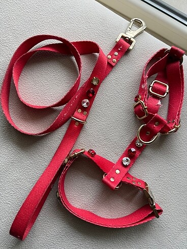 Pembe süslü köpek tasması