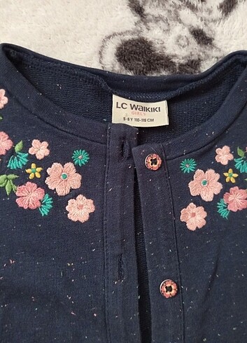 LC Waikiki 5-6 Yaş Hırka