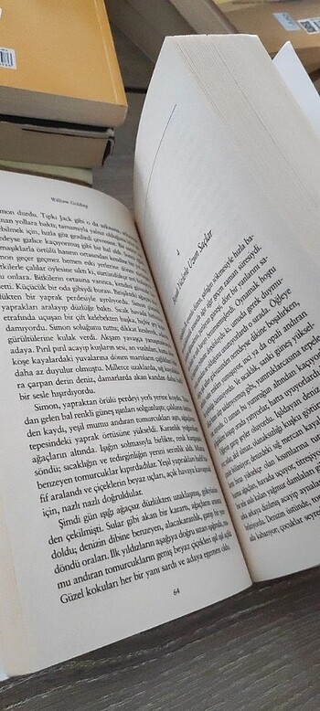  Beden Sineklerin tanrısı