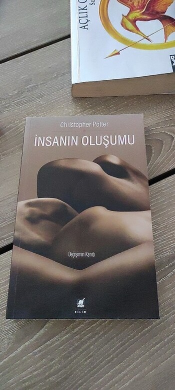 İNSANIN OLUŞUMU