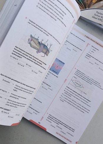 9. Sınıf Konu Anlatımlı Soru Kitapları Seti - Görsel 3