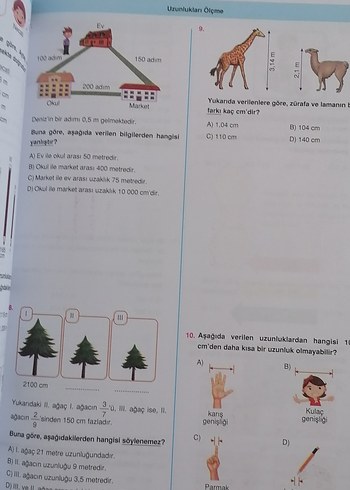 Beden Renk 5. Sınıf Tüm Dersler Soru Bankası