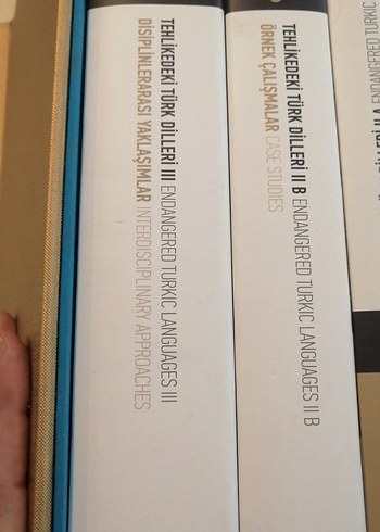 Tehlikedeki Türk dilleri - Görsel 7