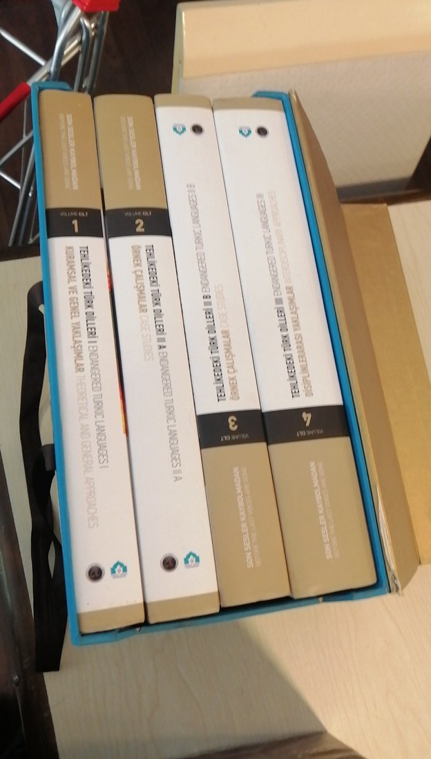 Tehlikedeki Türk dilleri - Görsel 2