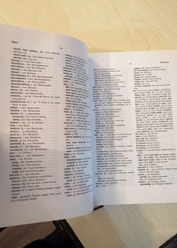 Türkçe-İngilizce Bilimsel ve Teknik Terimler Sözlüğü - Görsel 3