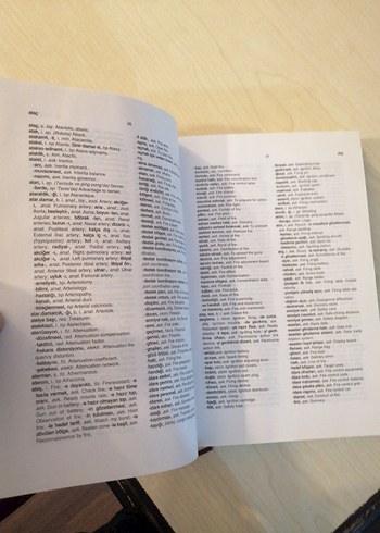 Türkçe-İngilizce Bilimsel ve Teknik Terimler Sözlüğü - Görsel 4