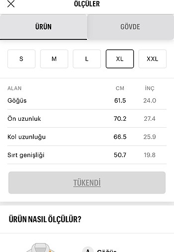 Pull&Bear Erkek Basic Kısa Ceket - Görsel 2